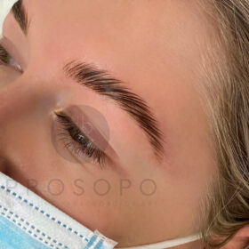 brow-lamin-1
