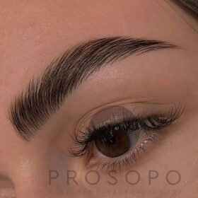 brow-lamin-2